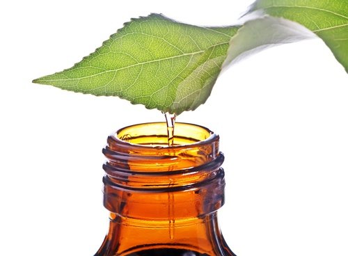 prurito intimo tea tree oil