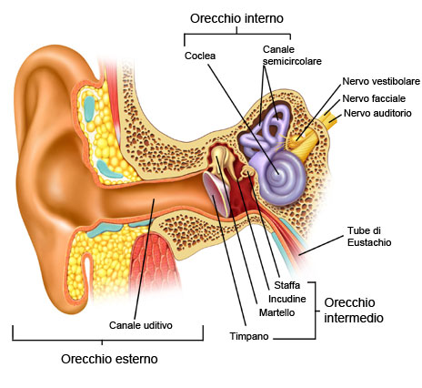 otite sintomi