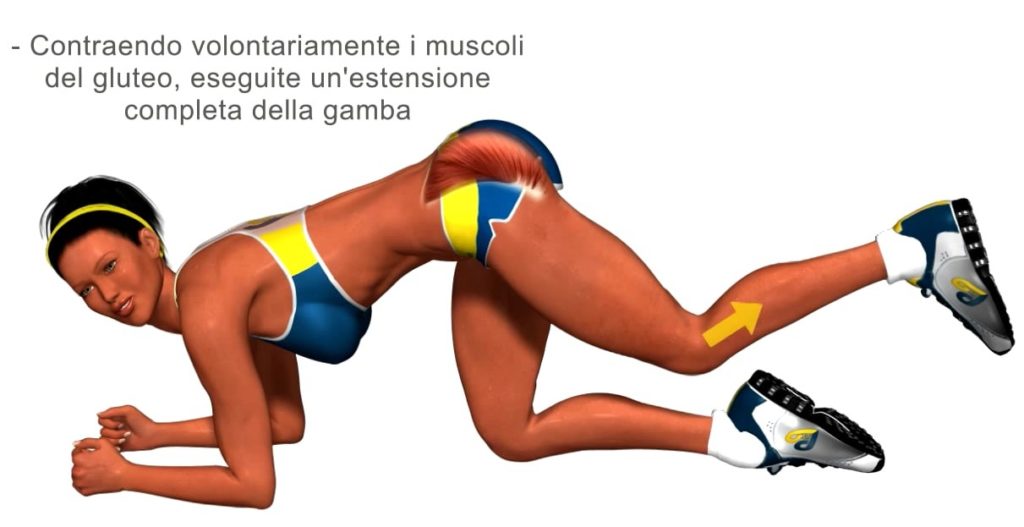 esercizi glutei