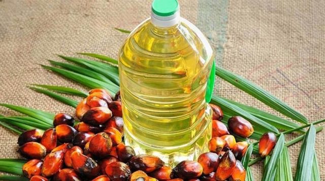 olio di palma