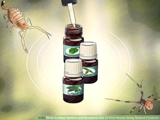 tea tree oil