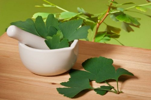 acufeni rimedi ginkgo biloba