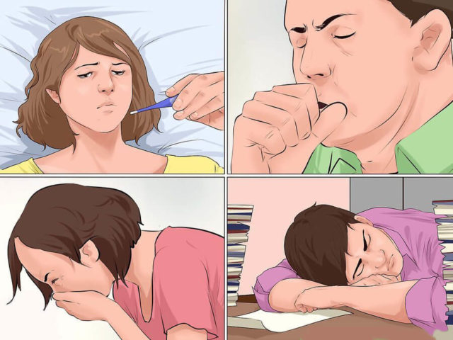 orecchioni