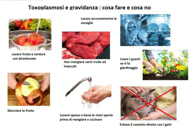 Toxoplasmosi in gravidanza