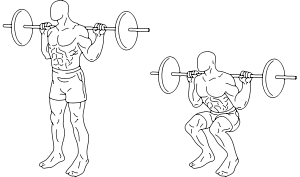 300px-Squats.svg
