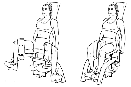 Thigh_Adductor_Inner_Thigh_Machine_F_WorkoutLabs