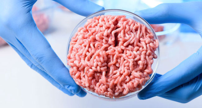 La carne di laboratorio in futuro ridurrà l’impatto ambientale?