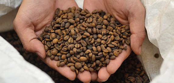 Recuperare i resti del caffè