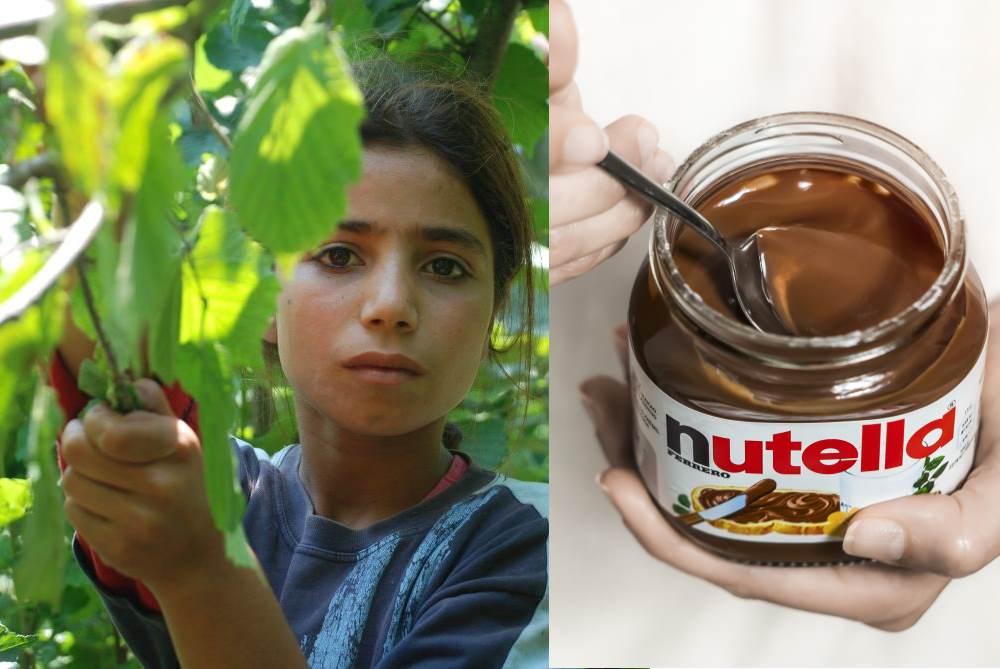 Rifugiati e bambini sfruttati nei campi di nocciole per fare la Nutella