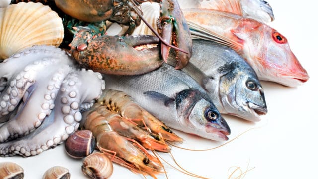 pesce_crudo_shu-94725499_1600x900-640x360-9741747
