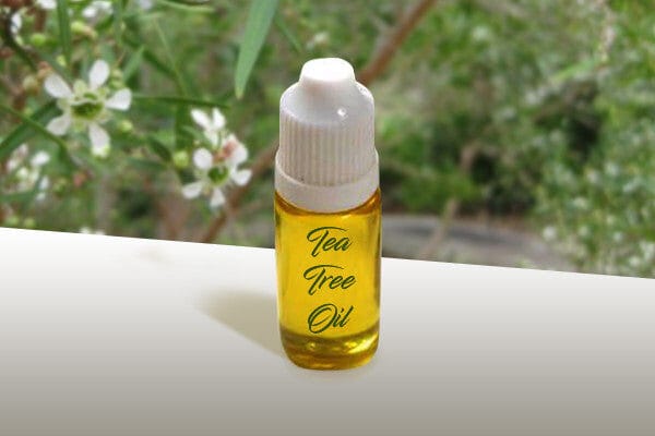 Cattivo odore intimo tea tree oil