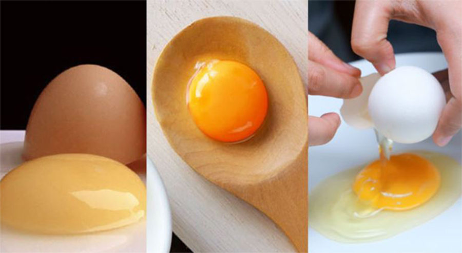 4 modi per cucinare le uova velocemente e con poche calorie!