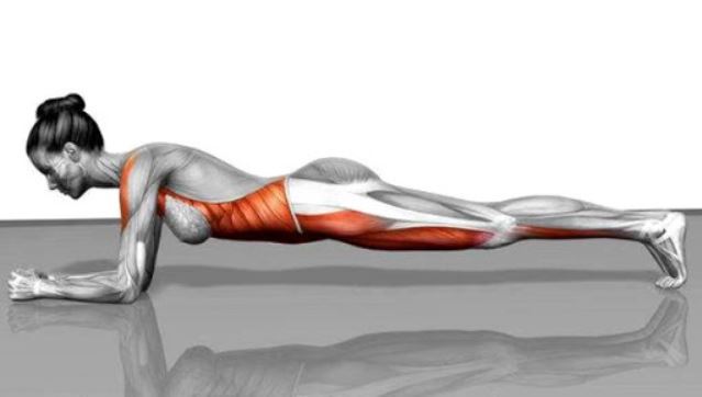 Plank esercizio