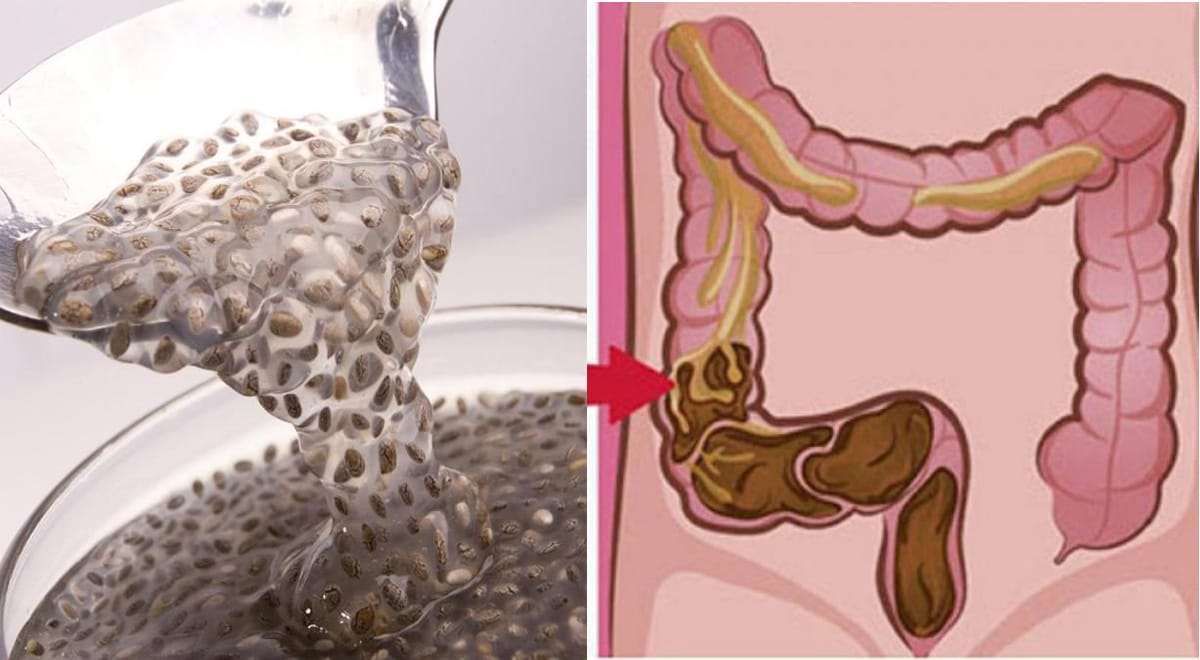 Semi di lino per svuotare l'intestino