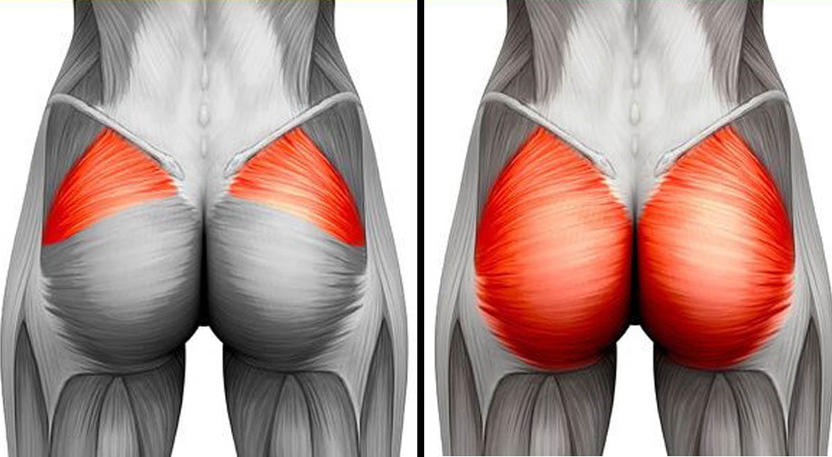 Curl pelcivo per rassodare glutei, pancia e gambe