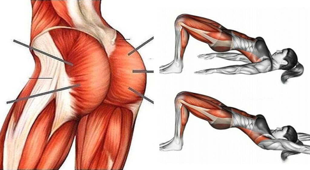 Un solo esercizio al giorno per tonificare e aumentare il volume dei glutei