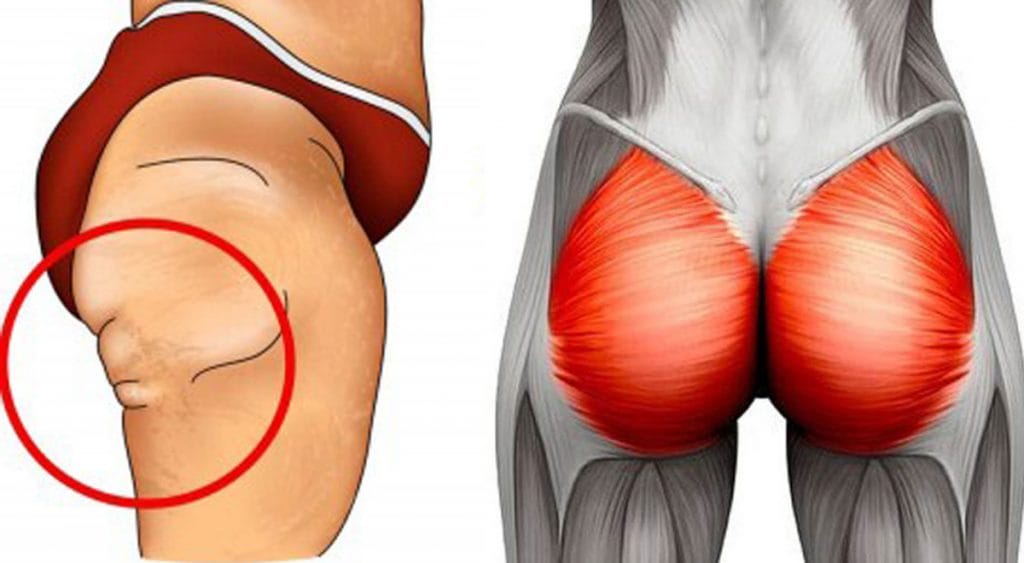 5 esercizi efficaci per sollevare i glutei in 1 mese per un lato B perfetto