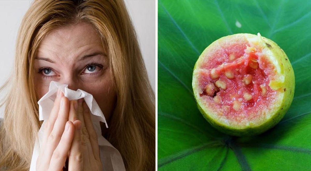 12 alimenti più ricchi di vitamina C