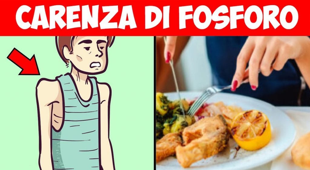 I 7 alimenti più ricchi di fosforo che dovresti mangiare tutti i giorni