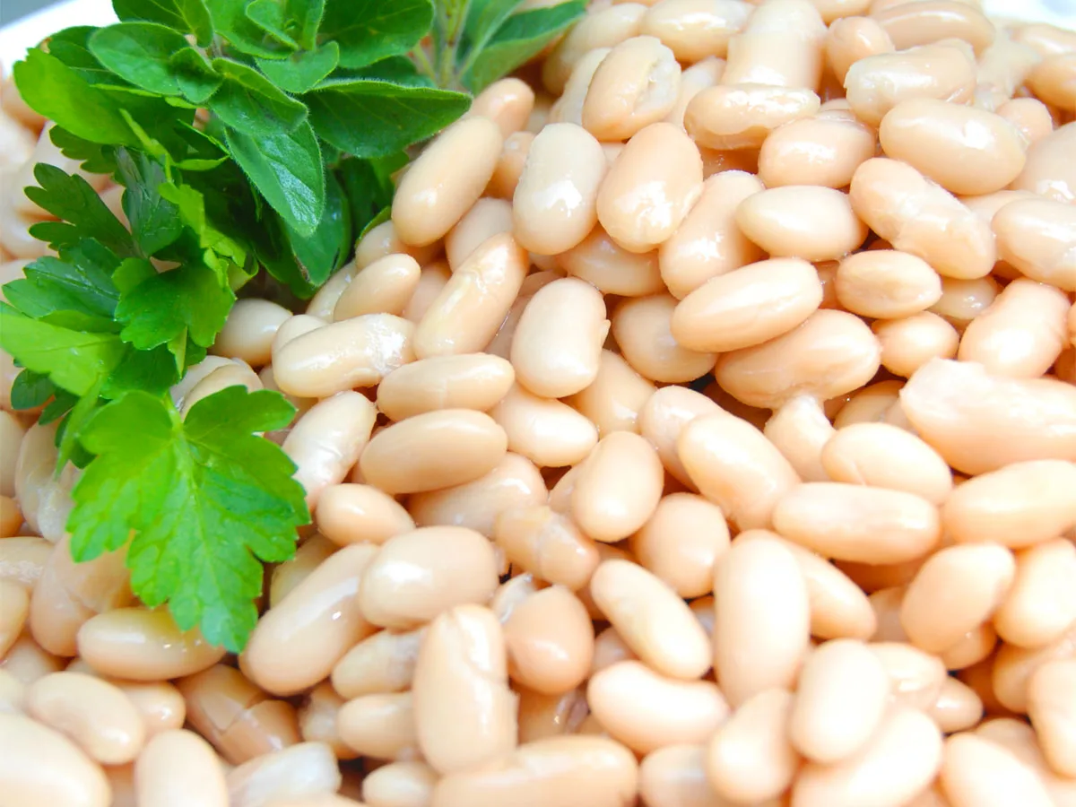 Fagioli