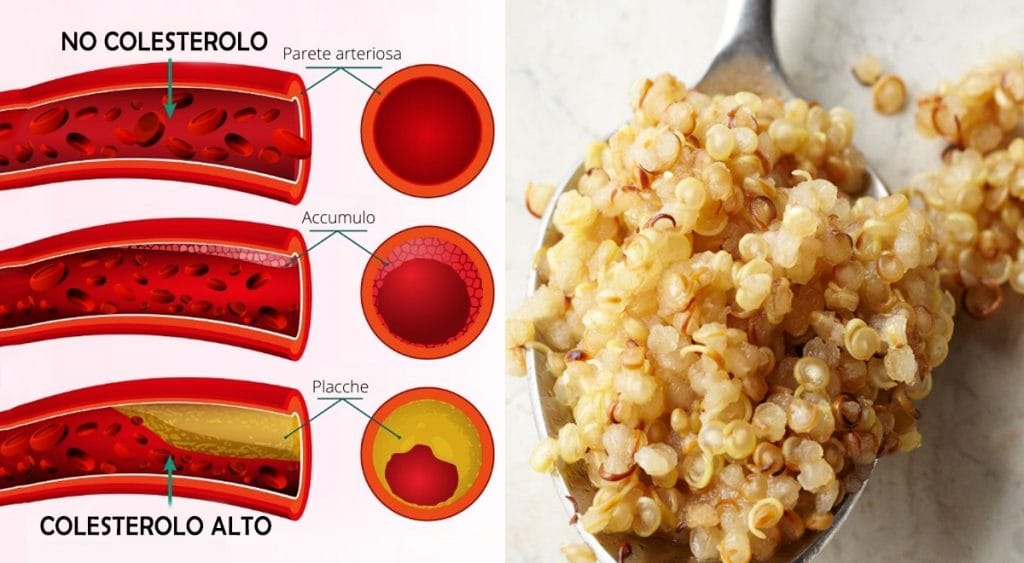 Abbassa il colesterolo e migliora la glicemia: un pseudo-cereale che può sostituire anche la pasta