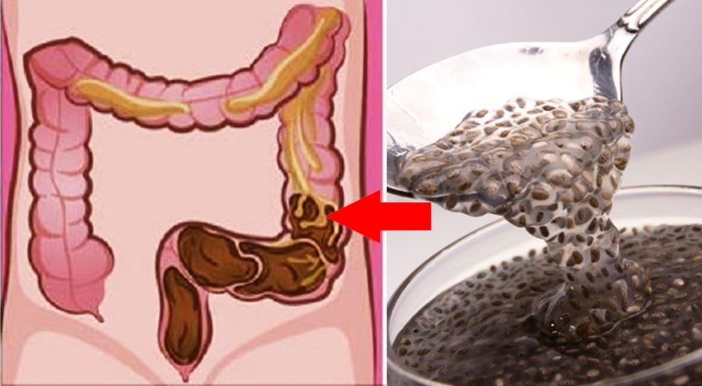 8 cibi più ricchi di fibre che fanno andare in bagno, e abbassano anche colesterolo e glicemia