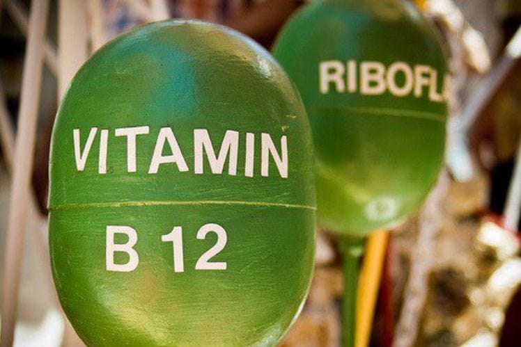 Vitamina b12