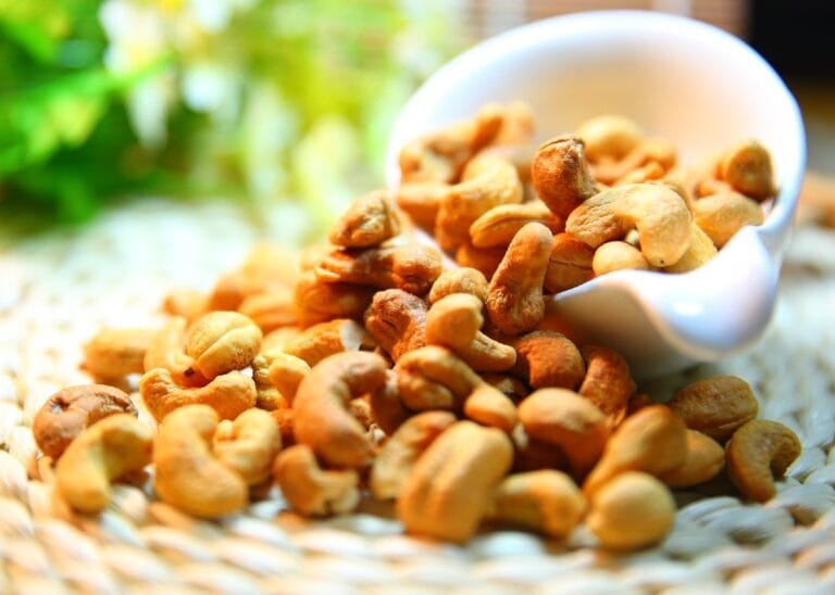 Anacardi