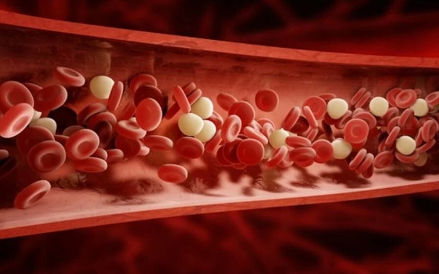 Purificare il sangue