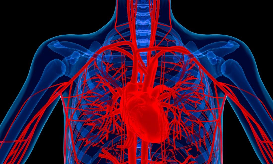 Malattie cardiache
