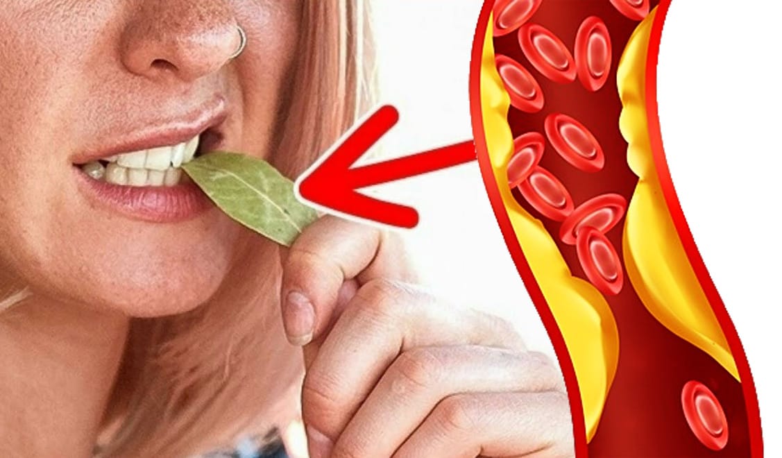 Cosa succede al colesterolo e la glicemia se si mastica una foglia di alloro