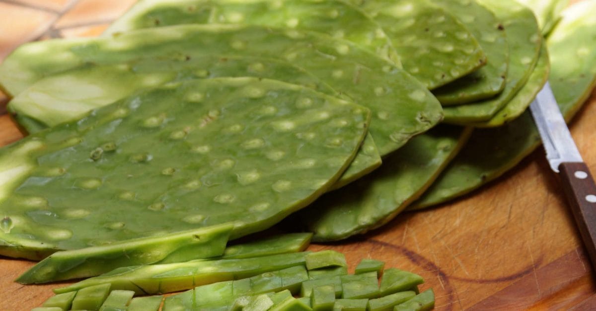 Nopal