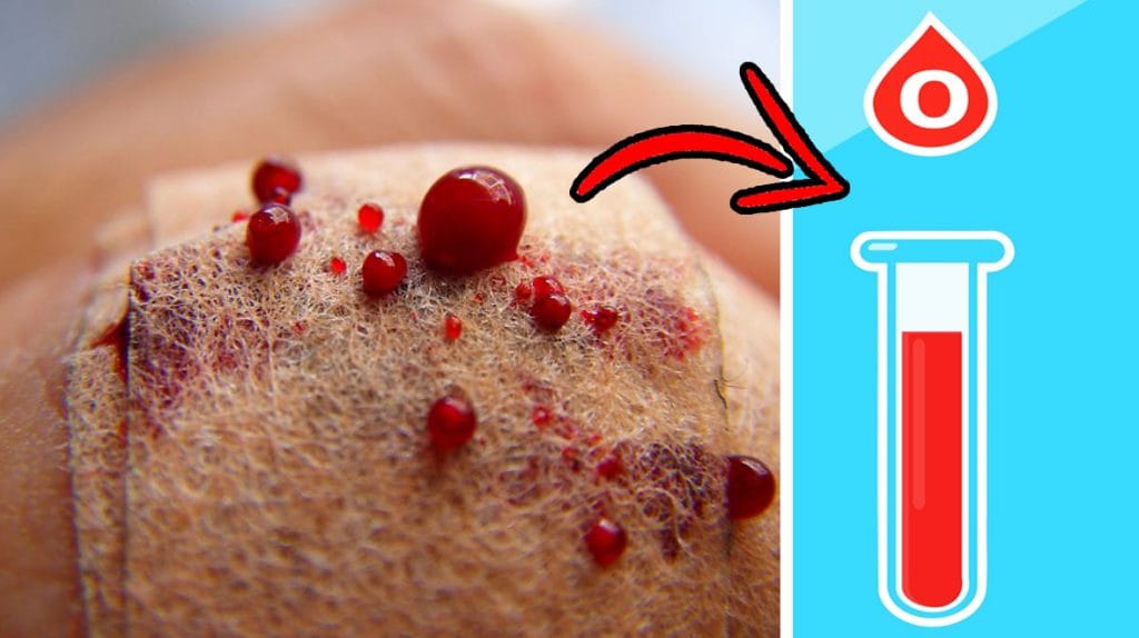 Le persone che hanno il gruppo sanguigno 0 sono speciali, ecco perché! Lo dice la scienza