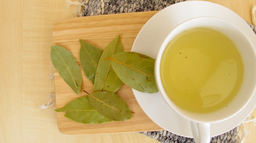 Infuso di alloro