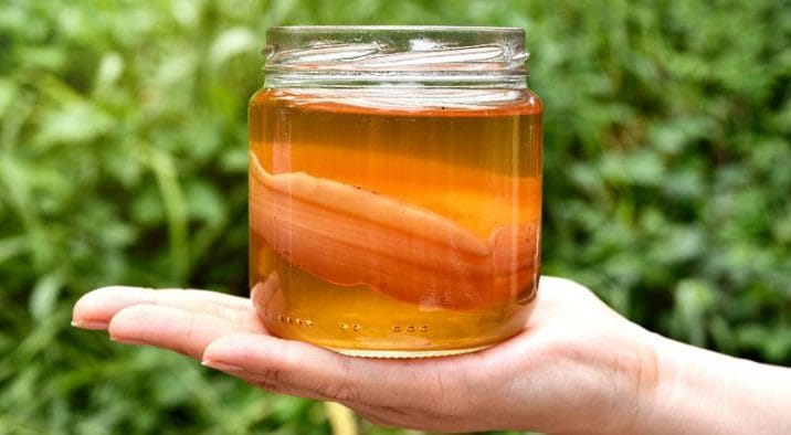 Tè kombucha