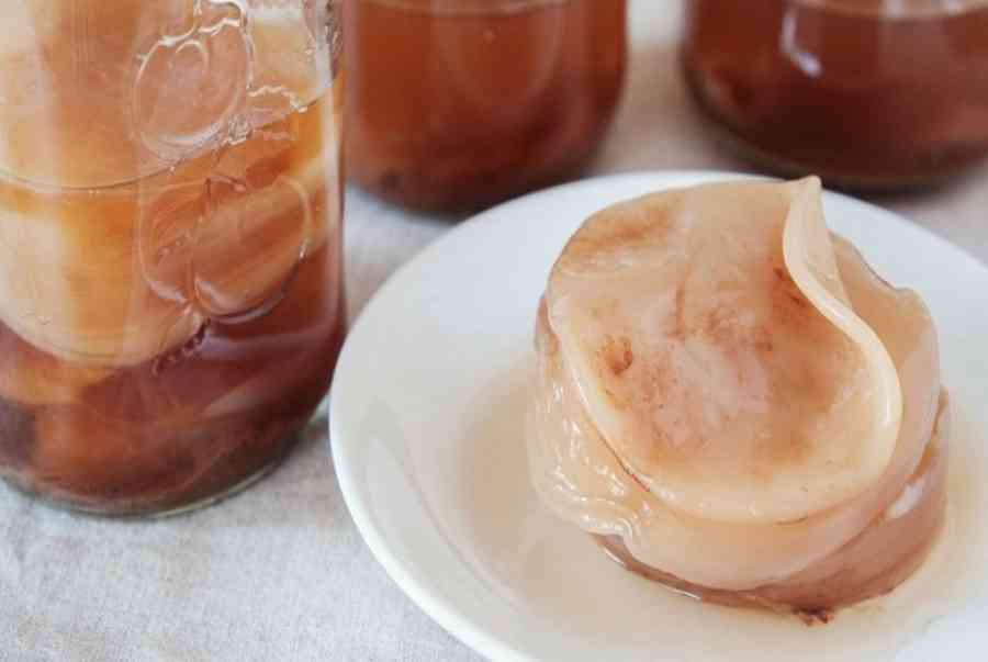 Tè kombucha
