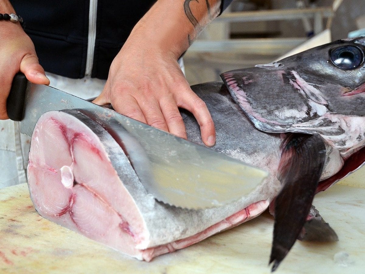 Pesci con mercurio