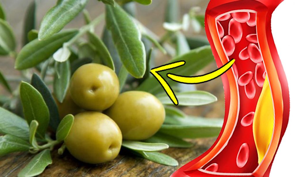 Foglie di olivo, non buttatele! Se prese così abbassano i livelli di zucchero e di colesterolo