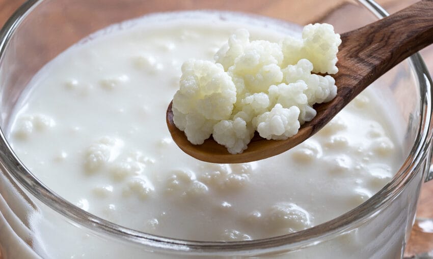 Kefir