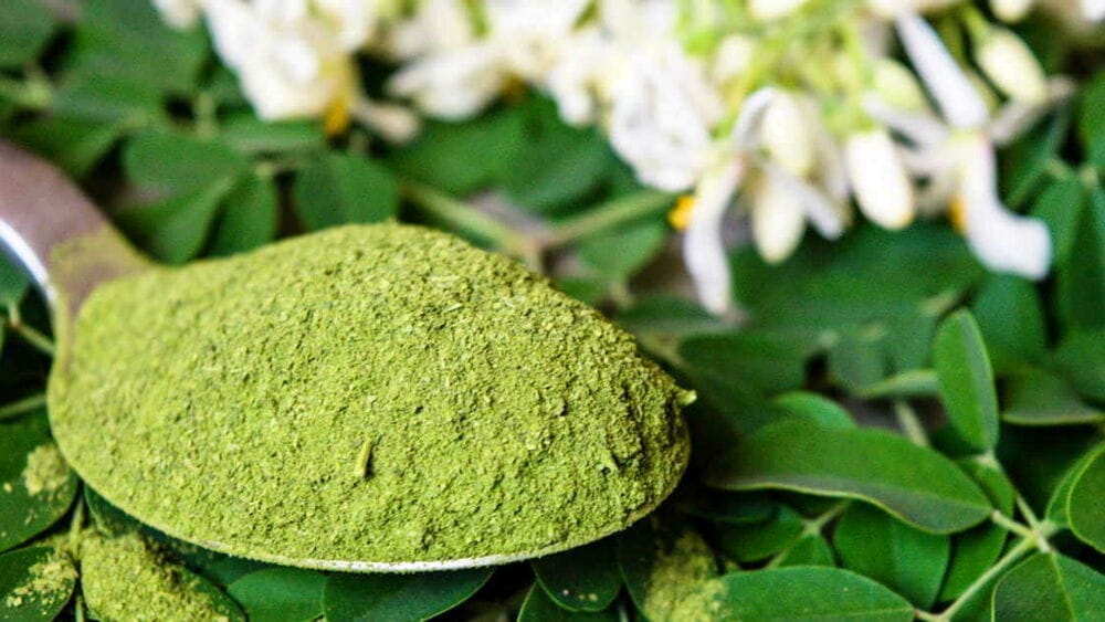 Moringa