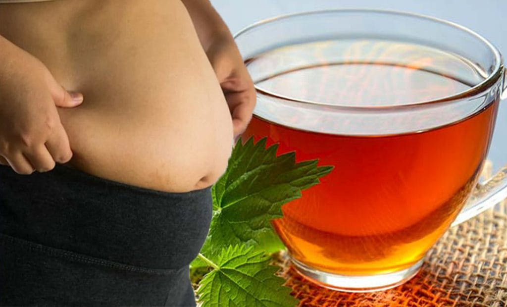 3 ingredienti! La tisana potentissima che brucia i grassi, accelera il metabolismo e frena la fame