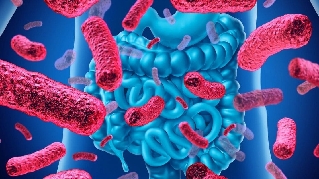 Antibiotico