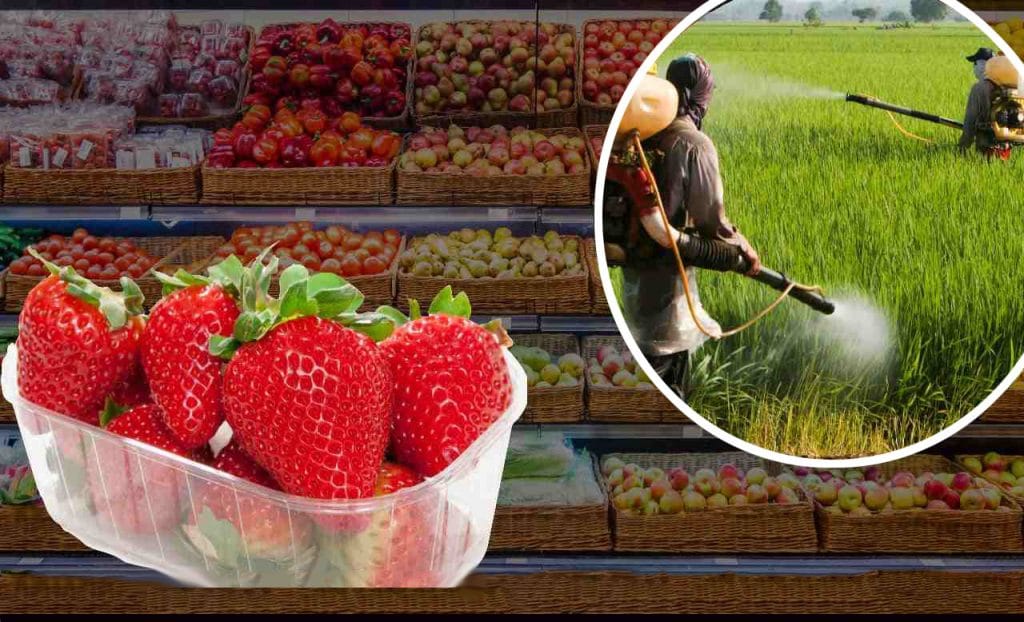 Fragole piene di pesticidi! Non comprare questa varietà: è in tutti i supermercati