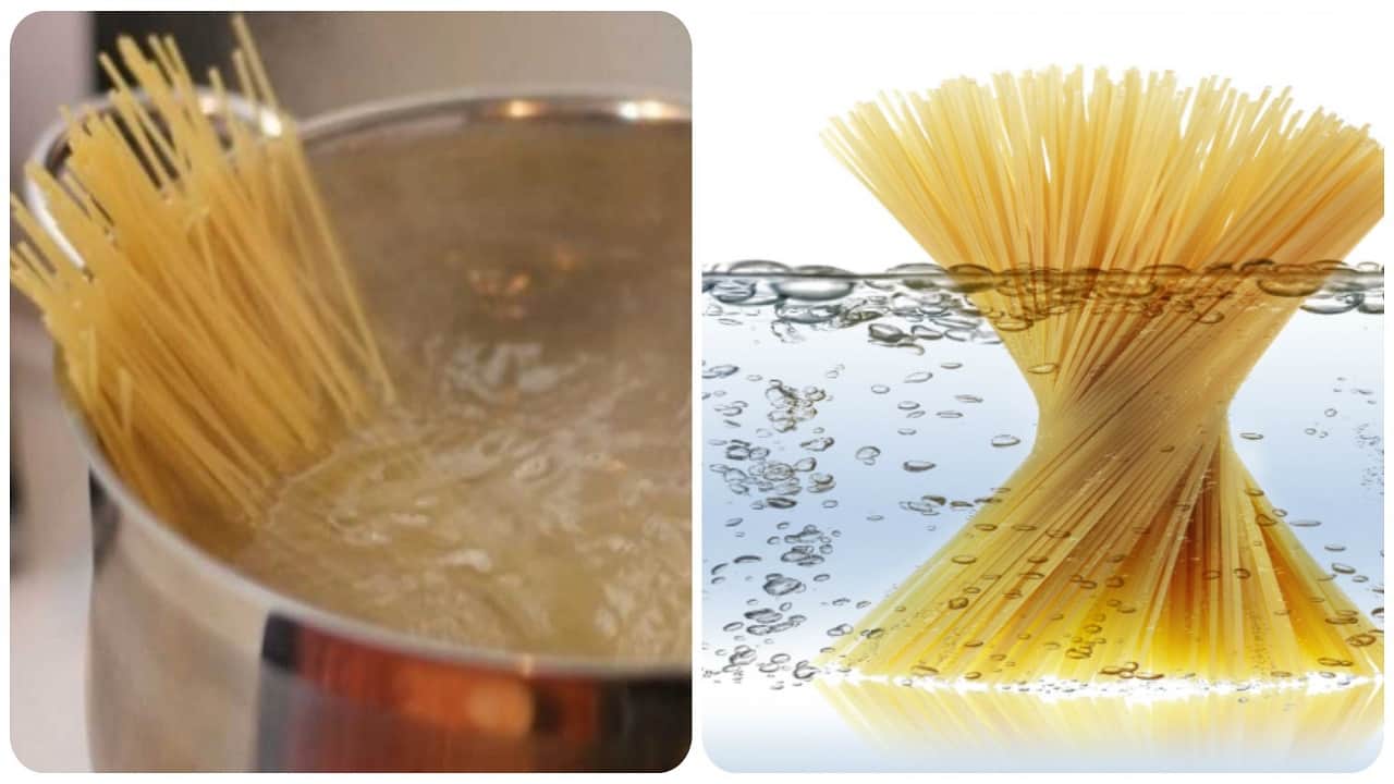 Pasta