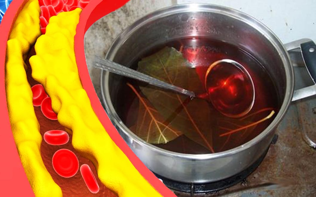 Ne mangi sempre il frutto, ma il seme e le foglie se usate così abbassano colesterolo e glicemia!