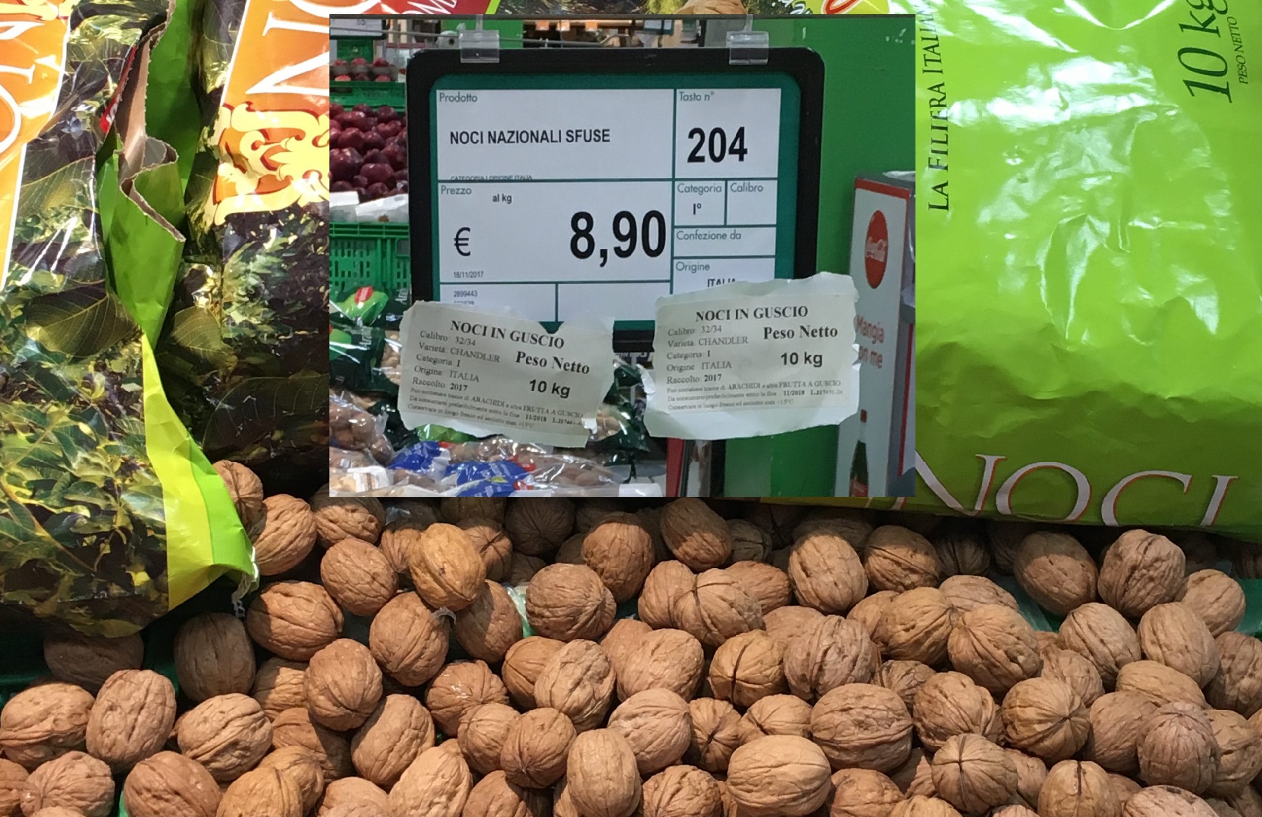 Noci