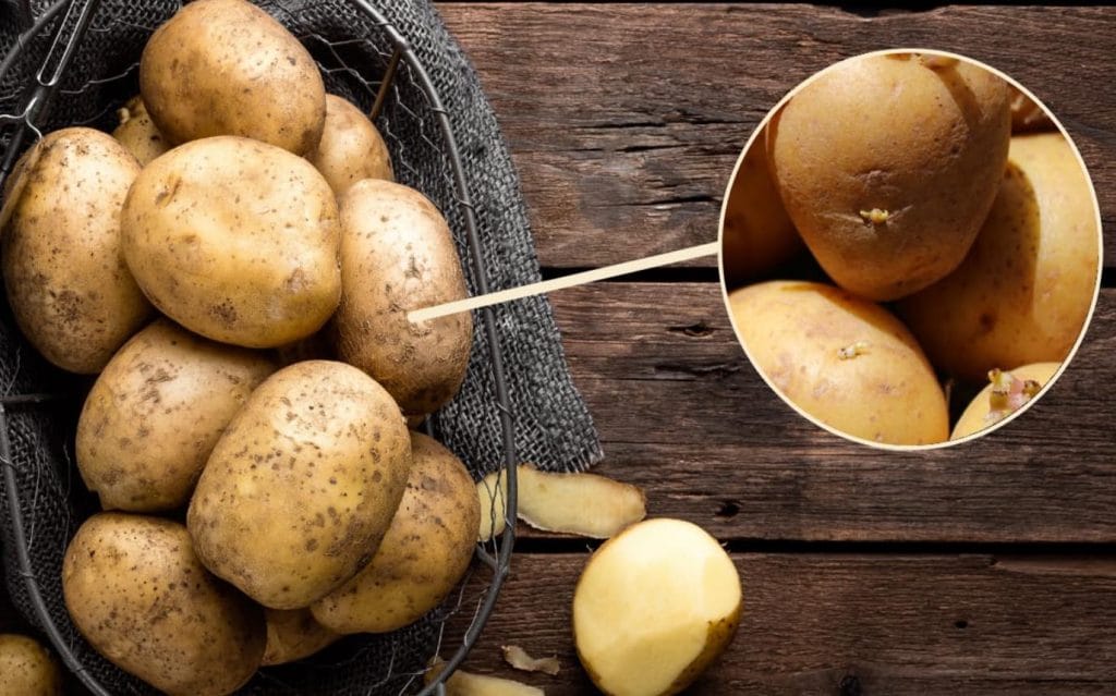 Patate, mai cucinarle se vedete questi segni: è meglio buttarle via!