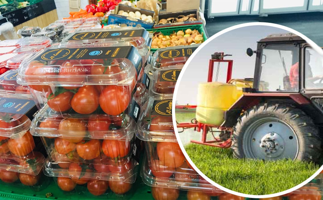 Pomodori: mai acquistare questi al supermercato, sono pieni di pesticidi!
