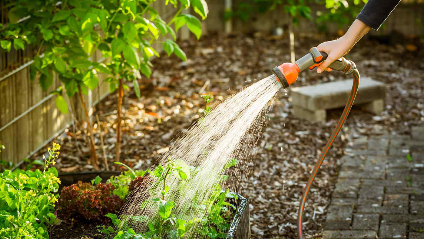 Divieto annaffiare il giardino