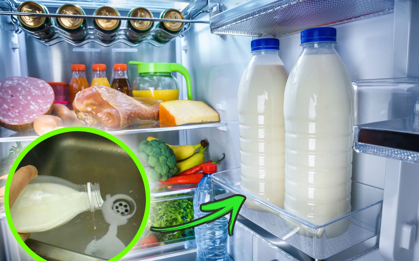 Latte e yogurt nel frigo: tutti abbiamo sempre sbagliato!
